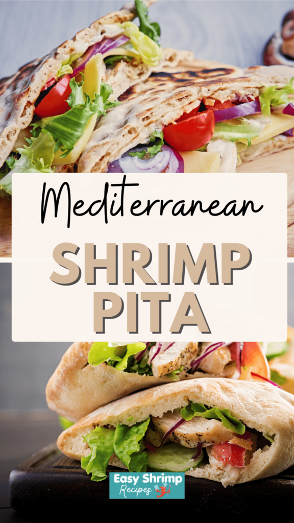 Mediterranean Shrimp Pita