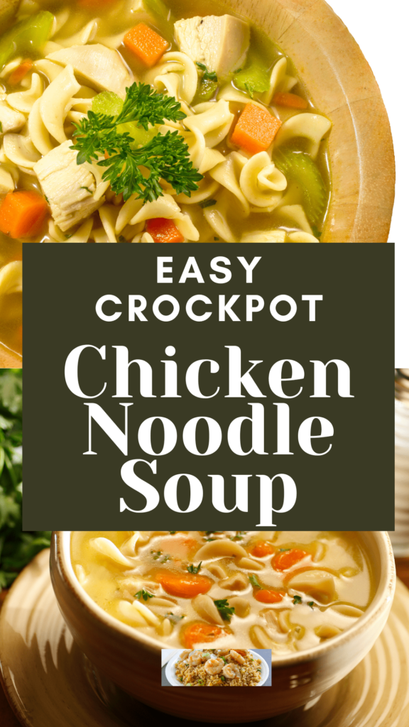 Slow Cooker Chicken Noodle Soup