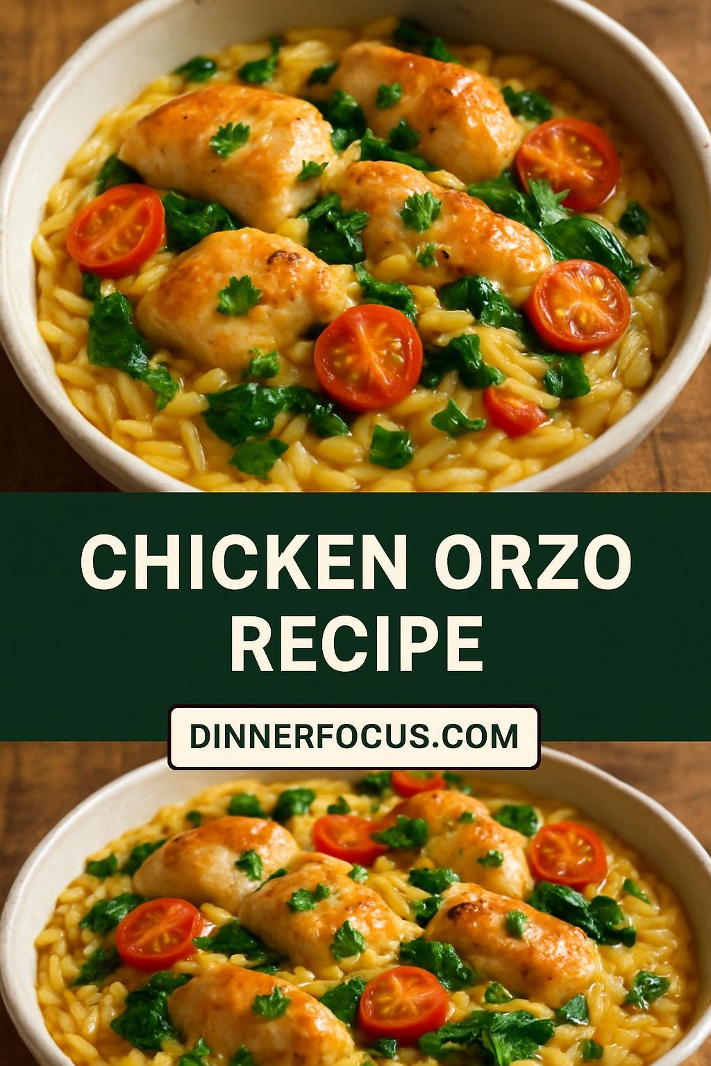 chicken orzo recipe