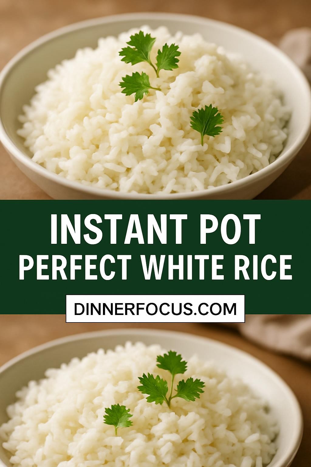 Instant Pot Perfect White Rice