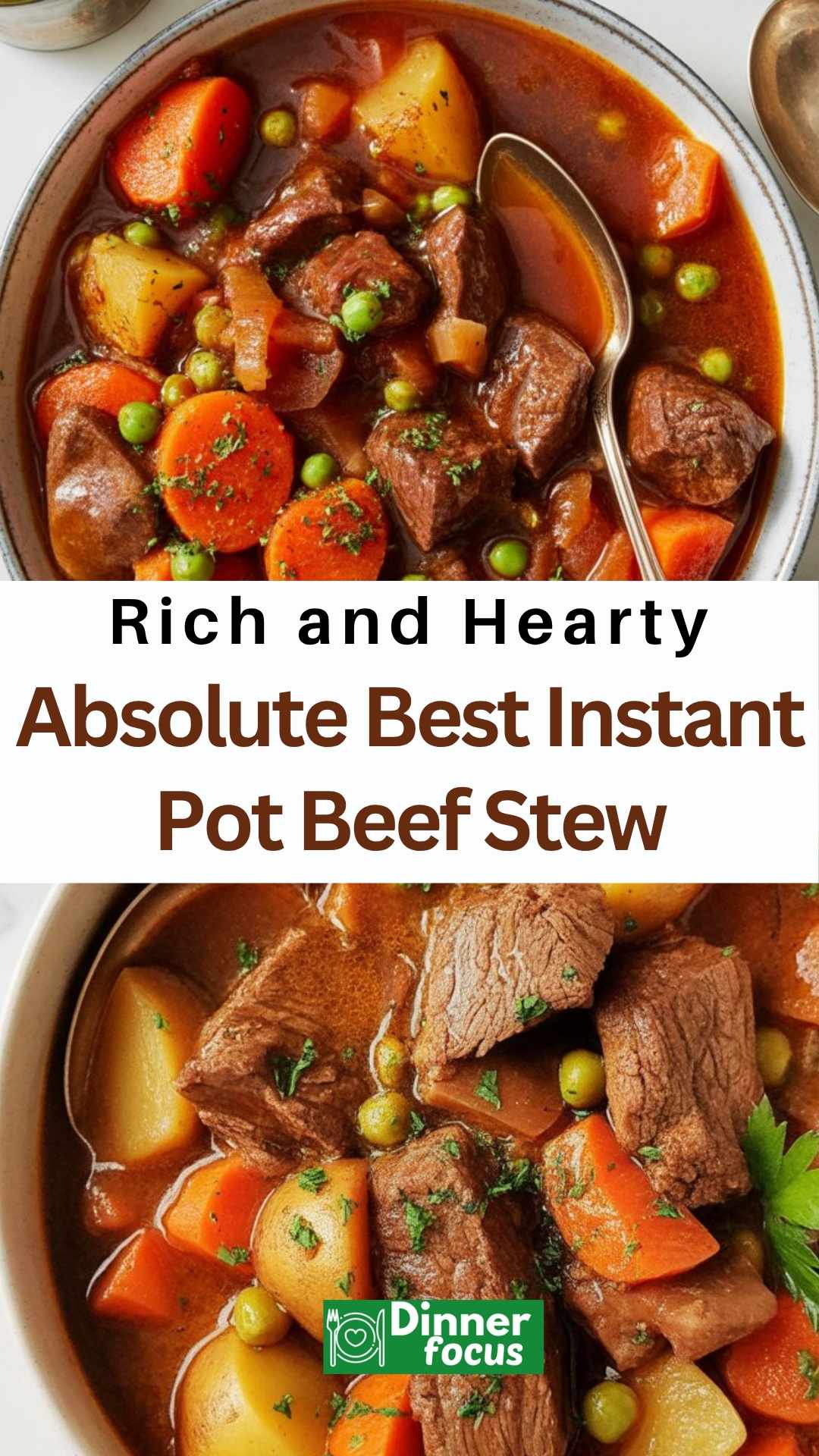 EASY Absolute Best Instant Pot Beef Stew