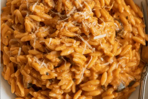 Tomato Ground Turkey Orzo