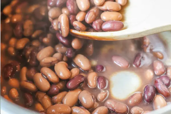 Instant Pot Dried Beans