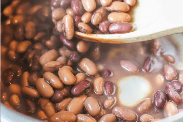 Instant Pot Dried Beans Instant Pot Dried Beans