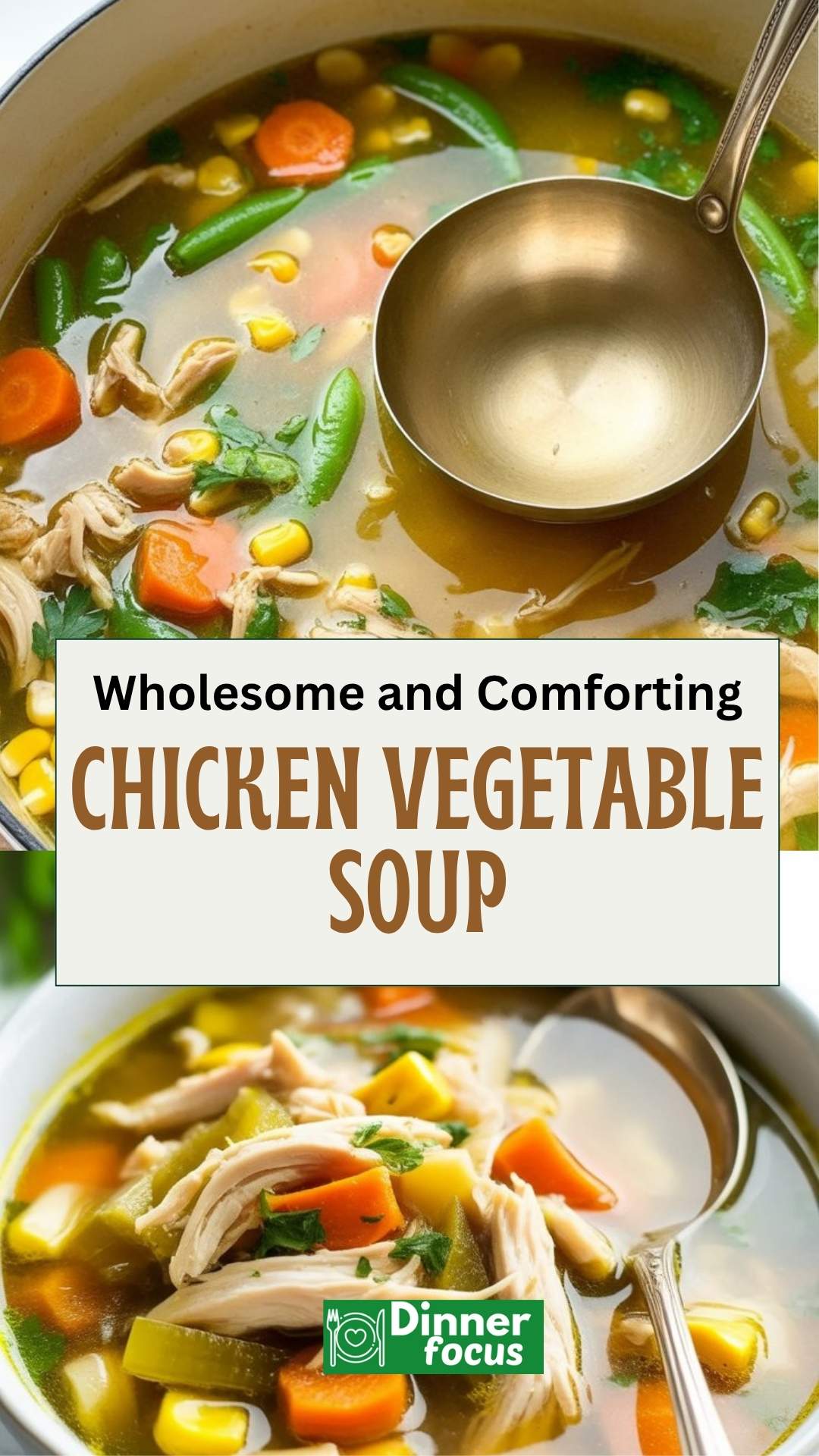 EASY Chicken Vegetable Soup