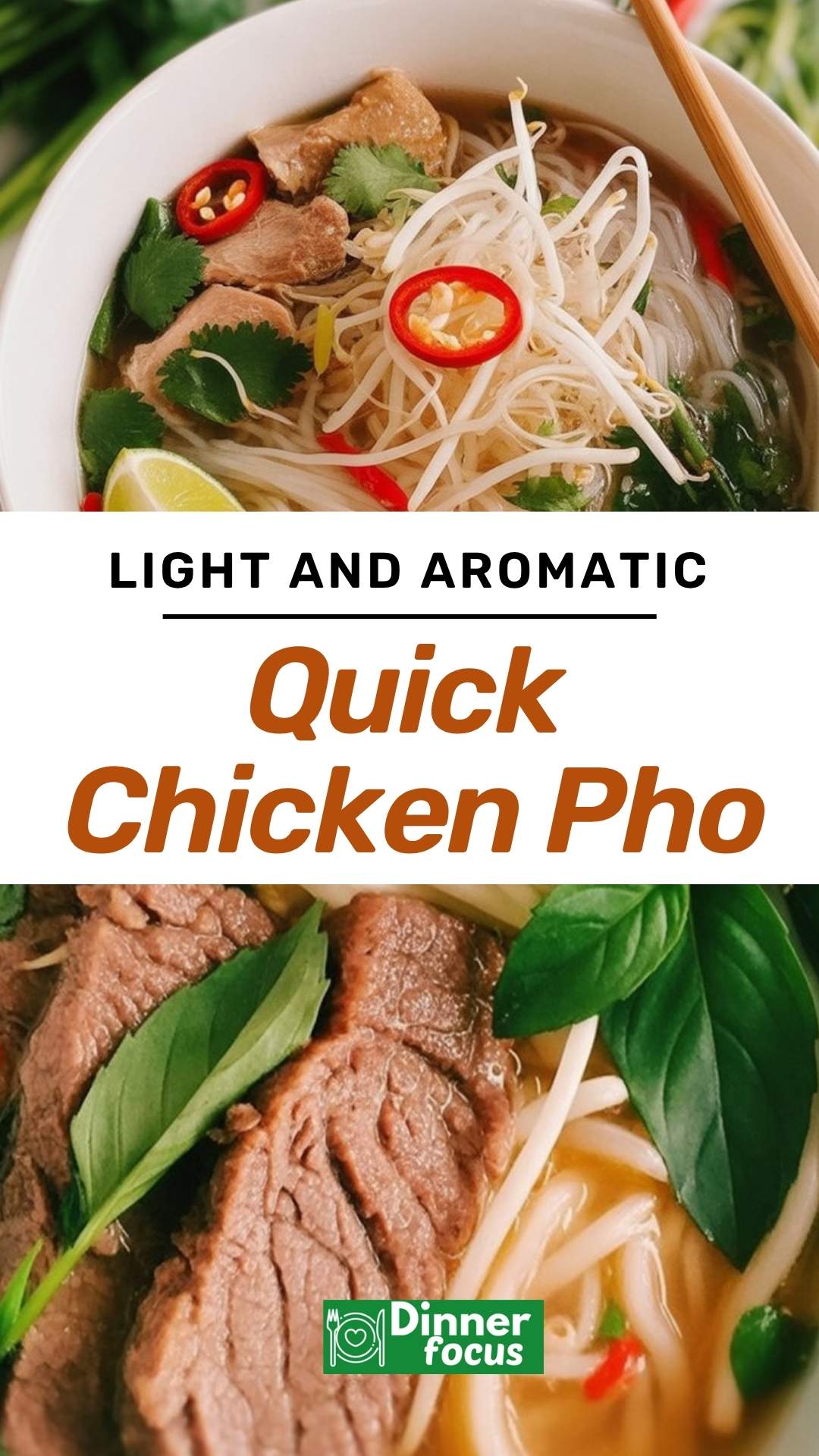 EASY Quick Chicken Pho